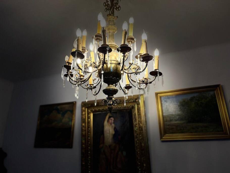 K22 Muzeum Centrum Apartmán *